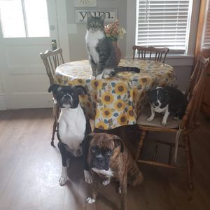 Meet your Posher, Sarah